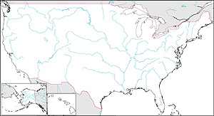 アメリカ合衆国白地図(州境なし/州都なし)の画像