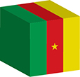 Flag of Cameroon image [Cube]