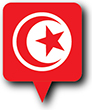 Flag of Tunisia image [Round pin]