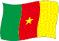 Flag of Cameroon flickering image