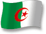 Flag of Algeria flickering gradation shadow image
