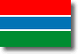 Flag of Gambia shadow image