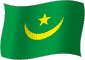 Flag of Mauritania flickering gradation image