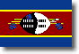 Flag of Eswatini shadow image