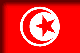 Flag of Tunisia drop shadow image