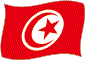 Flag of Tunisia flickering image