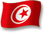 Flag of Tunisia flickering gradation shadow image
