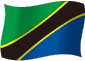 Flag of Tanzania flickering gradation image