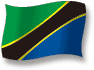 Flag of Tanzania flickering gradation shadow image