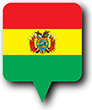 Flag of Bolivia image [Round pin]