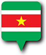 Flag of Surinam image [Round pin]