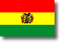 Flag of Bolivia shadow image
