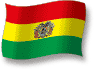 Flag of Bolivia flickering gradation shadow image