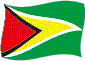 Flag of Guyana flickering image