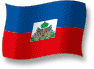 Flag of Haiti flickering gradation shadow image