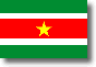 Flag of Surinam shadow image