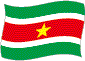 Flag of Surinam flickering image