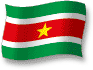 Flag of Surinam flickering gradation shadow image