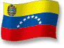Flag of Venezuela flickering gradation shadow image