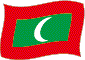 Flag of Maldives flickering image