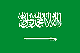 Flag of Saudi Arabia small image