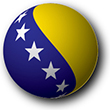 Flag of Bosnia and Herzegowina image [Hemisphere]