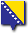 Flag of Bosnia and Herzegowina image [Pin]