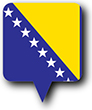 Flag of Bosnia and Herzegowina image [Round pin]