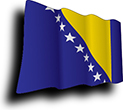 Flag of Bosnia and Herzegowina image [Wave]