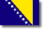 Flag of Bosnia and Herzegowina shadow image