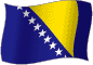 Flag of Bosnia and Herzegowina flickering gradation image