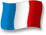 Flag of France flickering gradation shadow image