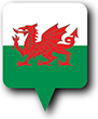 Flag of Wales image [Round pin]