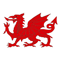 Red dragon image