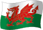 Flag of Wales flickering gradation image
