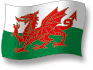 Flag of Wales flickering gradation shadow image