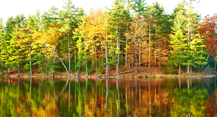 ニューハンプシャー州のイメージ画像