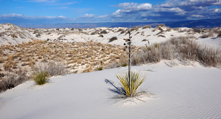 ニューメキシコ州のイメージ画像