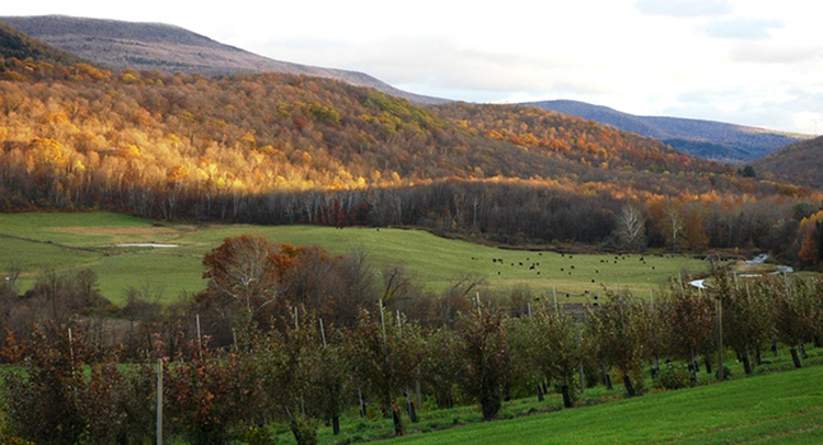 バーモント州のイメージ画像