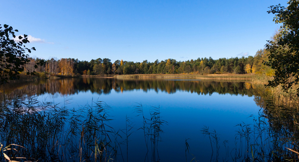 デラウェア州の湖の画像