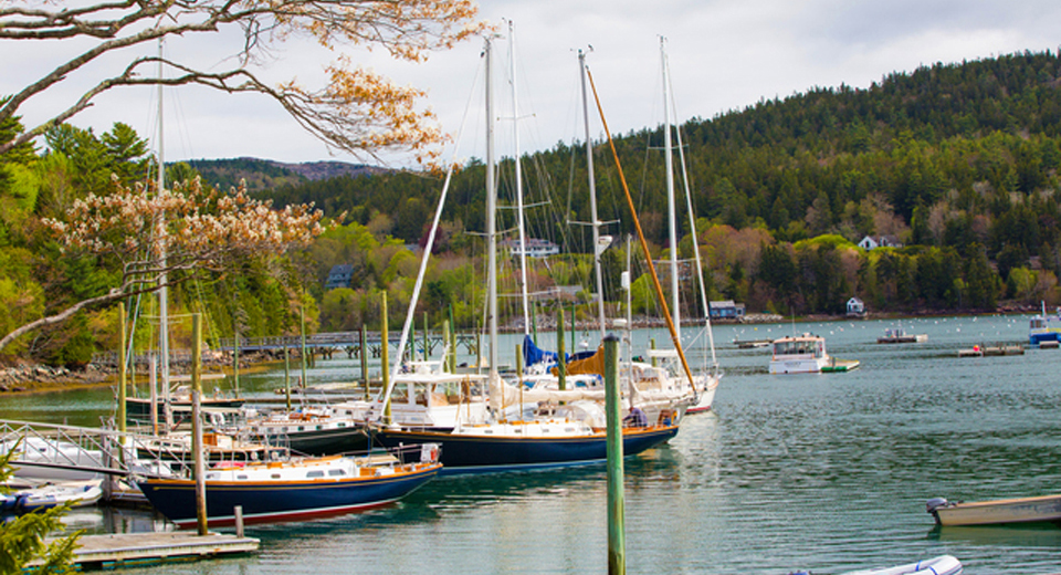 アーカディア国立公園の画像