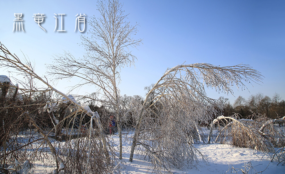 ハルビン市の太陽島の画像
