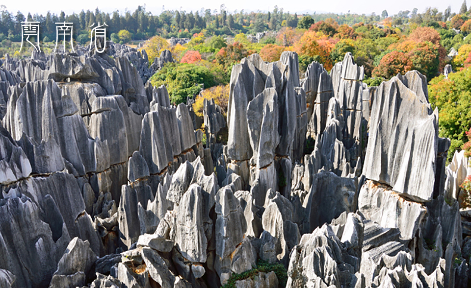 昆明市石林世界地質公園の画像