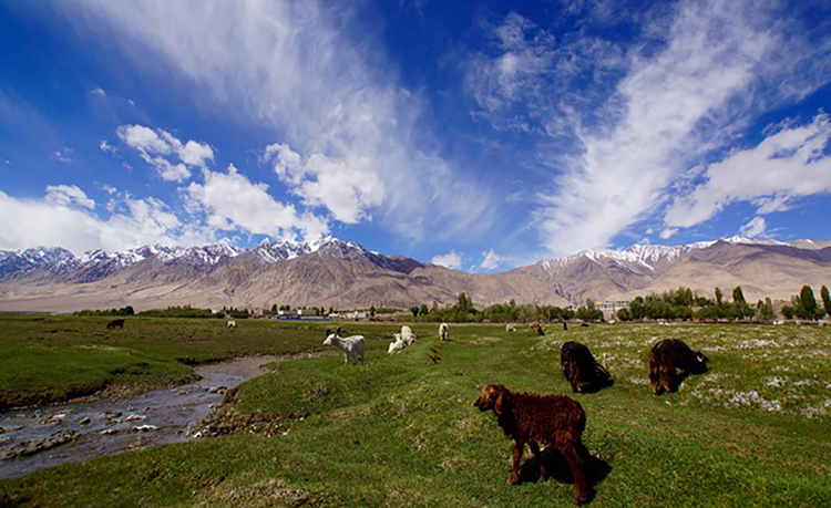 新疆ウイグル自治区のイメージ画像