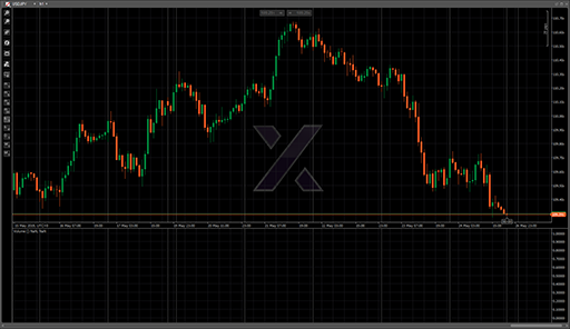 Volumeの表示画像