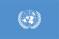 国連の旗