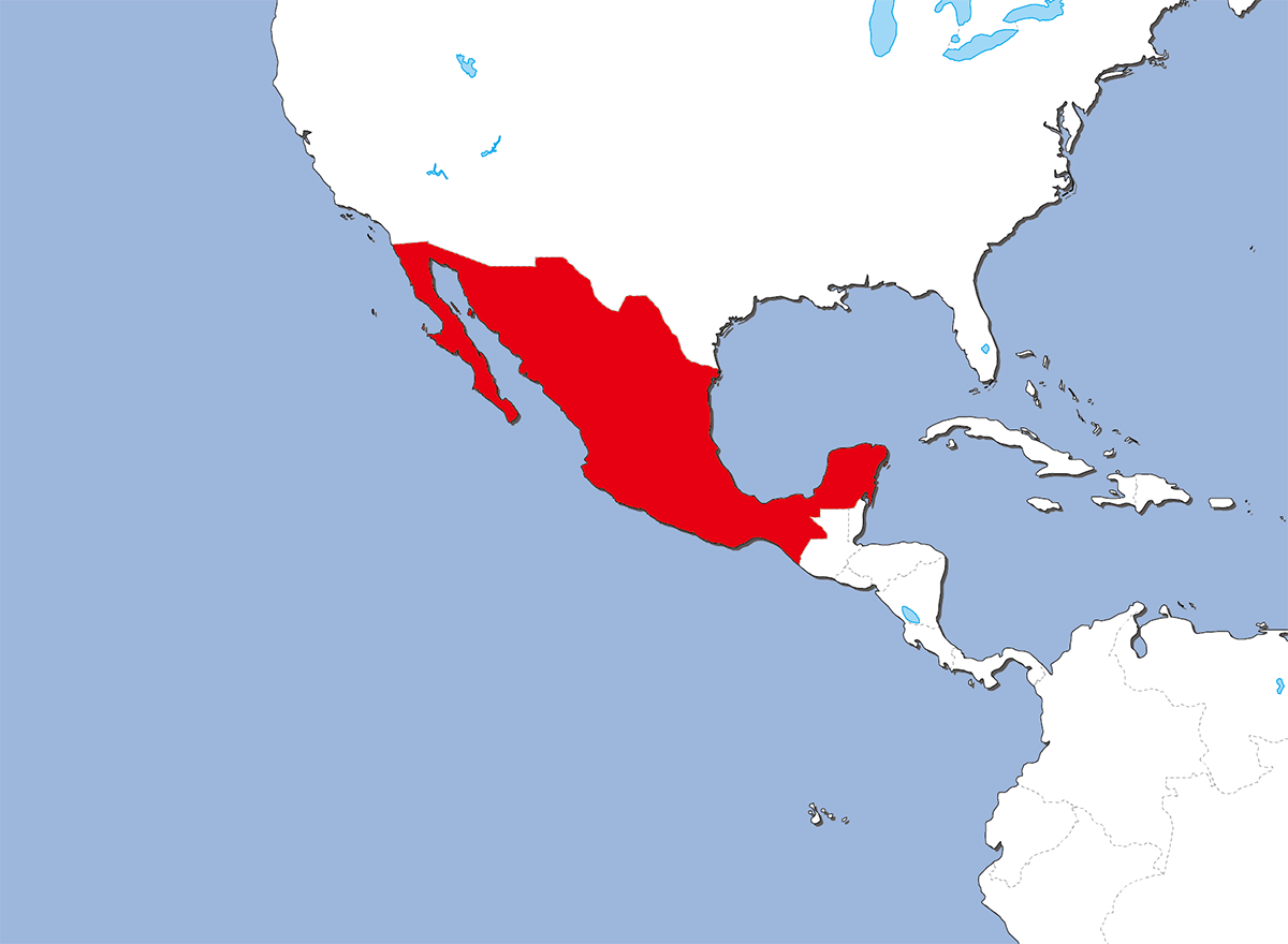 メキシコの国旗 意味やイラストのフリー素材など 世界の国旗 世界の国旗