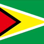 ガイアナの国旗