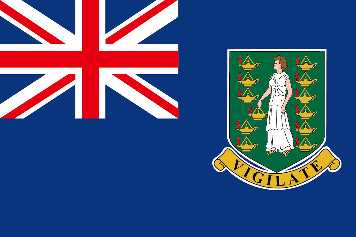 イギリス領バージン諸島の旗 意味やイラストのフリー素材など 世界の国旗 世界の国旗