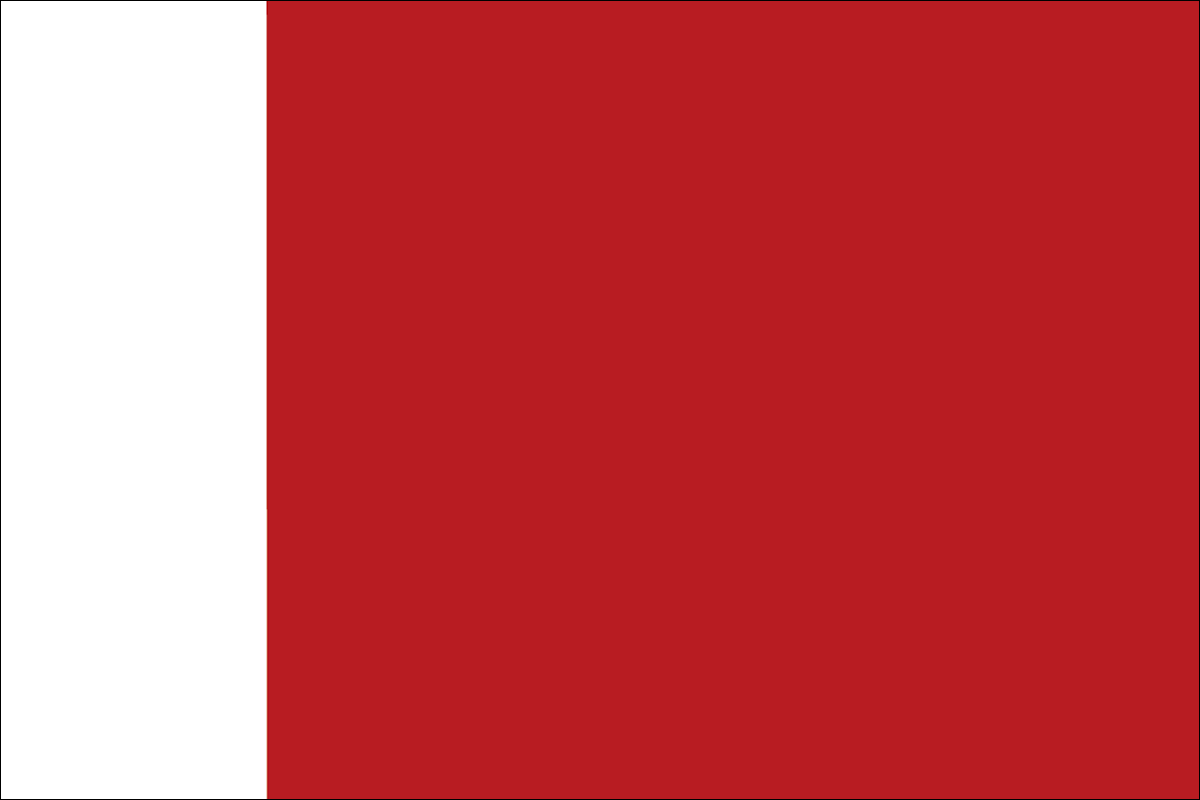 ドバイの旗 世界の国旗 世界の国旗